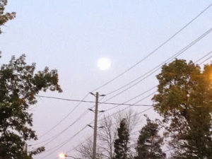 Meet your Posher, Joia